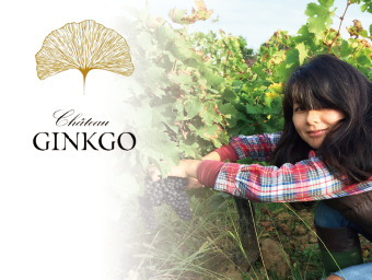 CHATEAU GINGKO